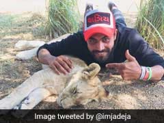 India vs South Africa: Ravindra Jadeja Visits Wildlife Sanctuary In SA, Posts Picture With A Lion