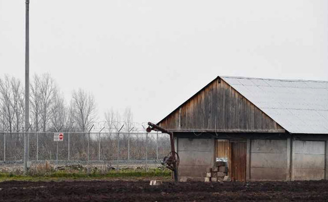 Grazing Dangerously: The Romanian Sheep Nibbling Away At US Security