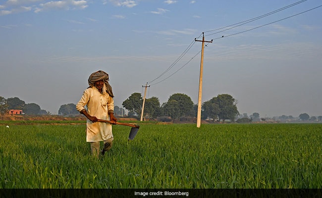 Farm Loan Waivers Driving Rural Demand, Says Report