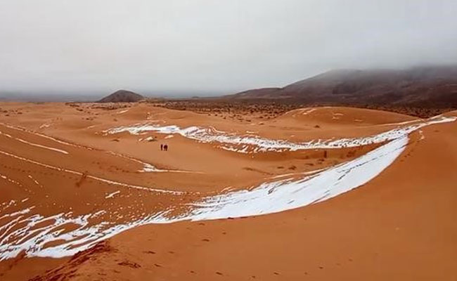 sahara desert snow reuters