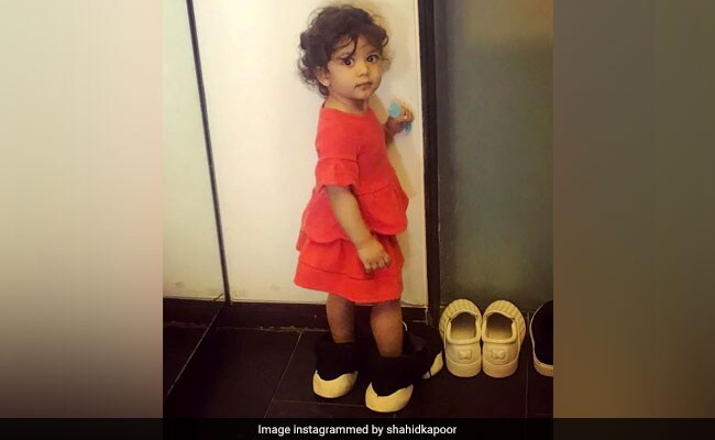 Shahid Kapoor's Daughter Misha Is Ready To Step Into Her Dad's Shoes. See Pic