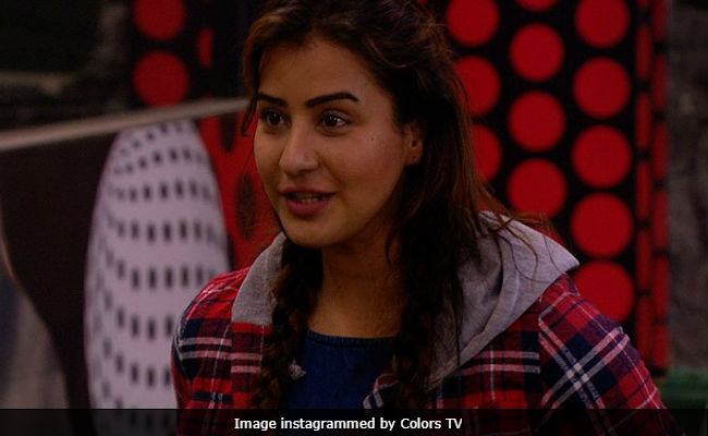 <i>Bigg Boss 11</i>, January 9: Shilpa Shinde Has A Solid Reason To Be This Mean To Vikas Gupta