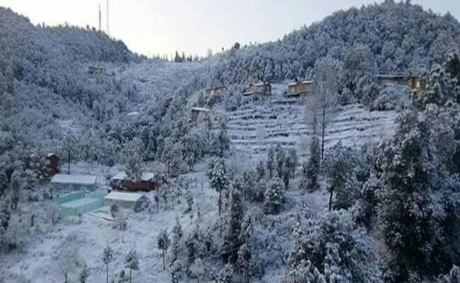 11 Trekkers Including 5 From Delhi Rescued From Uttarakhand's Munsiyari