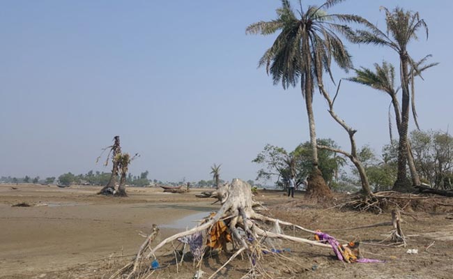 Over 100 Islands In Sundarbans Face Existential Threat As Sea Level Rises