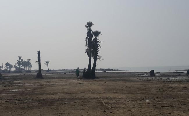 sundarbans ndtv