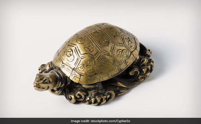 जानिए घर की किस दिशा में रखना चाहिए कौन-सा कछुआ