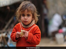 After US Cut Palestinian Aid, UN Agency Launches Crowdfunding Campaign After US Cut Palestinian Aid, UN Agency Launches Crowdfunding Campaign