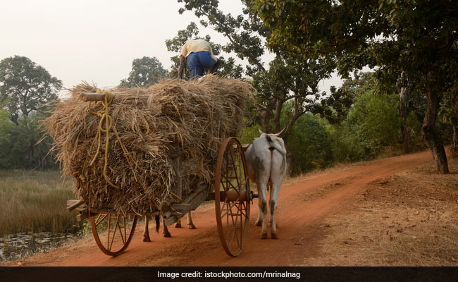 West Bengal Announces Rs 100 Crore Fund For Farmers In Distress