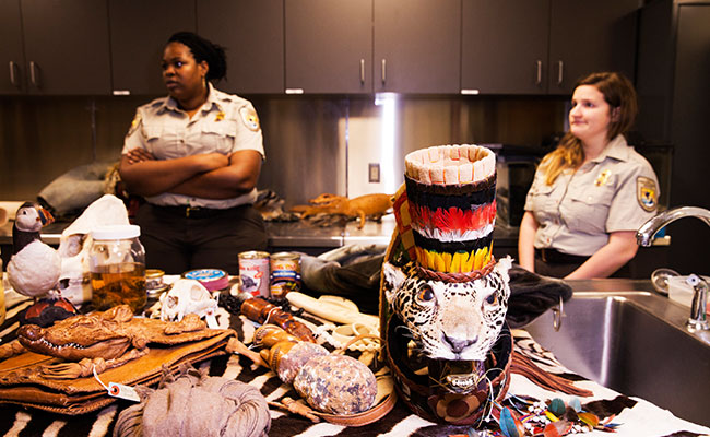 At JFK Airport, Every Day Is Wild For US Fish And Wildlife Service Inspectors