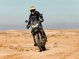 Triumph Tiger Population In India Crosses 900 Triumph Tiger Population In India Crosses 900