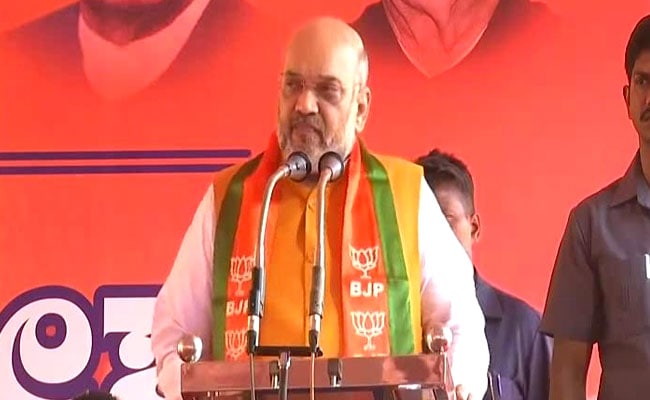 Make Sure PM Modi's Victory March Enters South Through Karnataka: Amit Shah To Party Workers