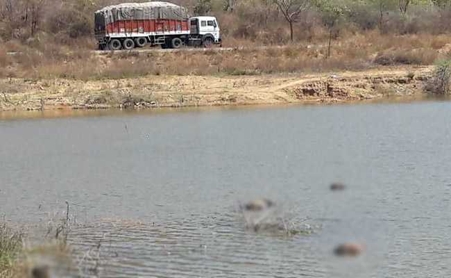 Bodies Found In Andhra Lake Of Red Sanders Woodcutters? Police Probe