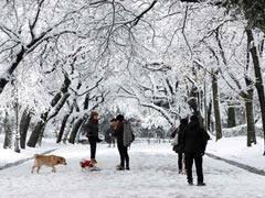 'Wacky' Weather Makes Arctic Warmer Than Parts Of Europe