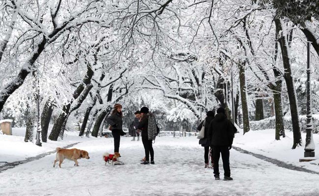 'Wacky' Weather Makes Arctic Warmer Than Parts Of Europe