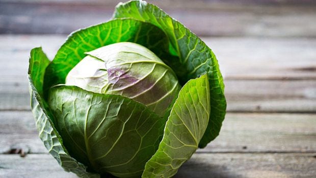 4 Amazing Health Benefits Of Cabbage That You Must Know - NDTV Food