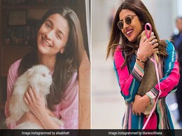 These 5 Bollywood Stars And Their Pets Will Make Your Day These 5 Bollywood Stars And Their Pets Will Make Your Day