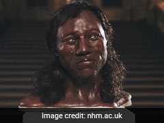 Meet Cheddar Man: First Modern Britons Had Dark Skin And Blue Eyes