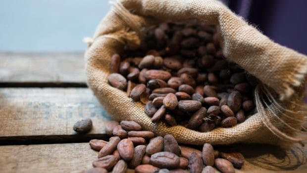 How To Start cocoa beans With Less Than $110