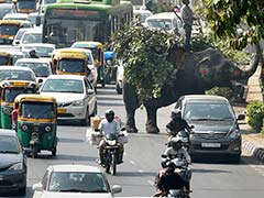 दिल्ली में कोरोना पाबंदियां खत्म, कार में यात्रा कर रहे लोगों को मास्क पहनना जरूरी नहीं, जानें क्या छूट मिली...