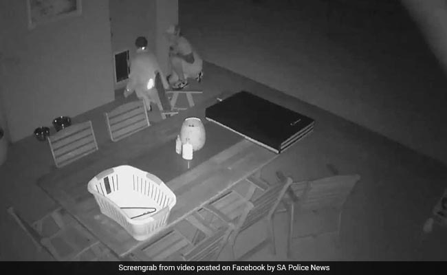 Video: Thieves Enter Home By Squeezing Through Dog Door