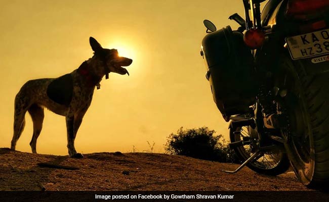 This Guy Rode To Hampi-Hassan-Mysore On A Bike. With His Dog