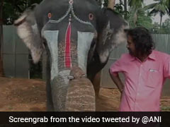 In Tamil Nadu, Elephant Plays Harmonica. Don't Miss This Delightful Video