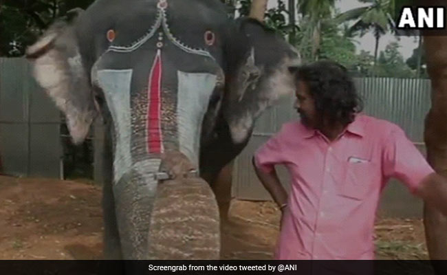 In Tamil Nadu, Elephant Plays Harmonica. Don't Miss This Delightful Video