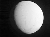 Saturn's Moon Has "Almost All" Ingredients for Life to Survive: Study