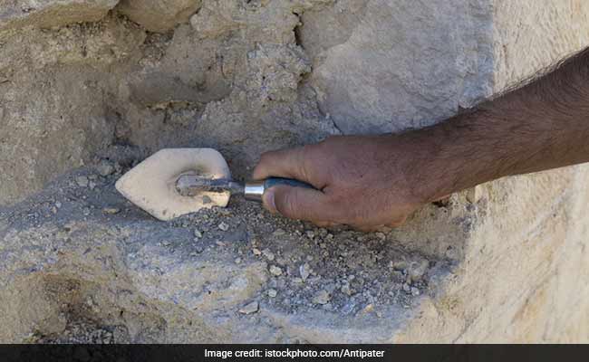 Excavations Start At 5,000-Year-Old Pre-Harappan Site In Haryana