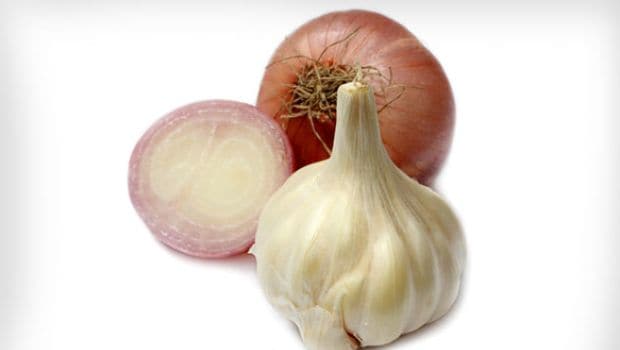 garlic and obion