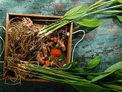 5 Incredible Benefits Of Turmeric Leaves You Must Know 5 Incredible Benefits Of Turmeric Leaves You Must Know