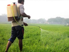 Here's How Pesticides Damage Your Health And Body