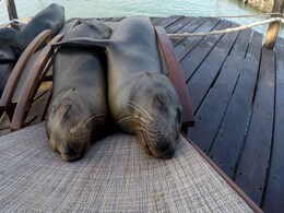 Happy Hug Day 2018: Wishes, Messages, SMS, Quotes, Images, Pics For Your Loved Ones Happy Hug Day 2018: Wishes, Messages, SMS, Quotes, Images, Pics For Your Loved Ones