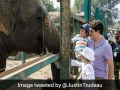 Canadian PM Justin Trudeau Gifted Footprint Painting Of Rescued Pachyderm