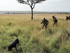 In Kenya, Anti-Poaching Dogs Are Wildlife's Best Friends