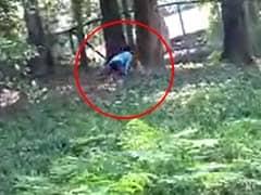 Man Jumps Into Lion Enclosure In Kerala Zoo. Rescued Just In Time. Watch