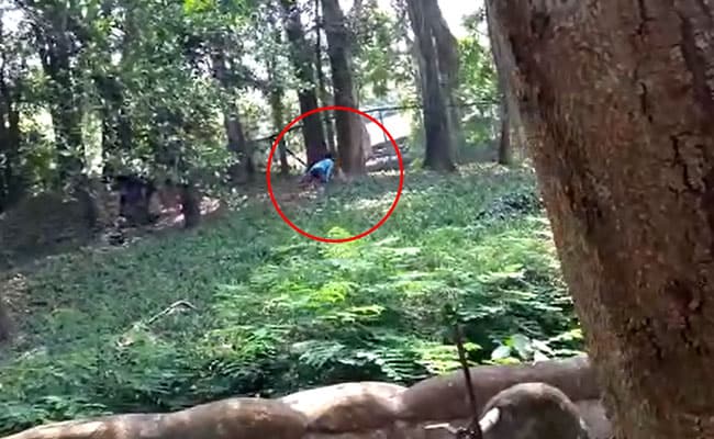 Man Jumps Into Lion Enclosure In Kerala Zoo. Rescued Just In Time. Watch