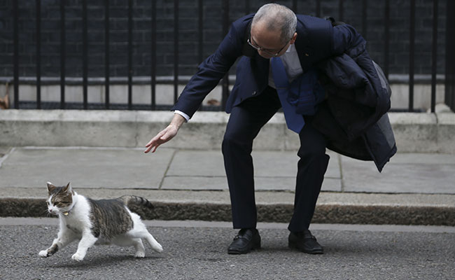 When Larry The Cat Snubbed Mitsubishi Boss Outside 10 Downing Street