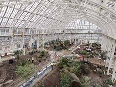 Giant London Glasshouse To Re-Open With World's Rarest Plants