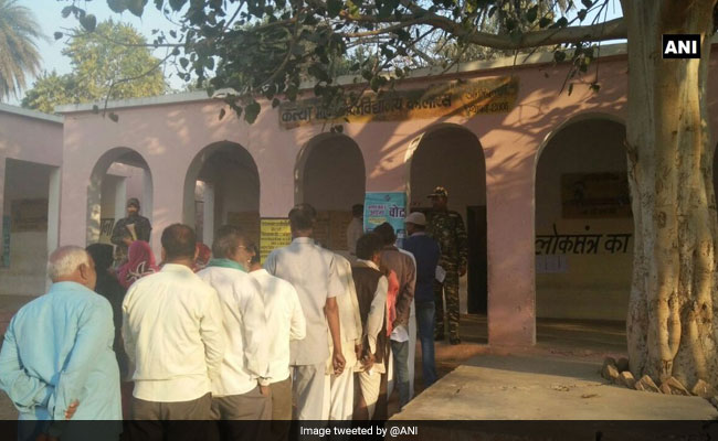 Madhya Pradesh Assembly Bypolls: Counting Of Votes Tomorrow