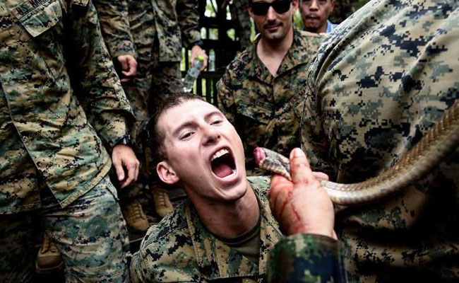 Marines Drink Cobra Blood In US-Thai War Drills