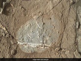Dormant Life On Earth's Driest Desert Hints At Possibilities On Mars Dormant Life On Earth's Driest Desert Hints At Possibilities On Mars