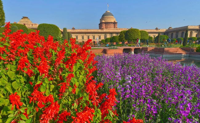 10, 000 Tulips, Over 130 Varieties Of Roses At the Mughal Gardens This Year