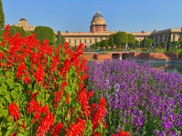 Delhi's Mughal Gardens To Open From February 12 To March 16: Details Here Delhi's Mughal Gardens To Open From February 12 To March 16: Details Here