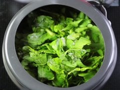 Palak Paneer