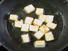 Palak Paneer