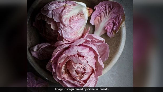 Pink Lettuce: This Beautiful Vegetable Just Made Its Instagram Debut!