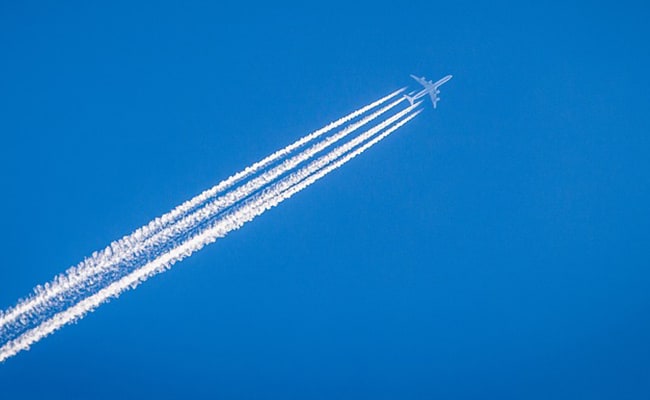 The Art of Baking: From Classic Bread to Artisan Pastries