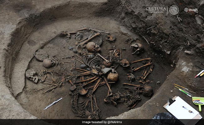 Mysterious Circle Of Intertwined Human Skeletons Unearthed By Mexican Archaeologists