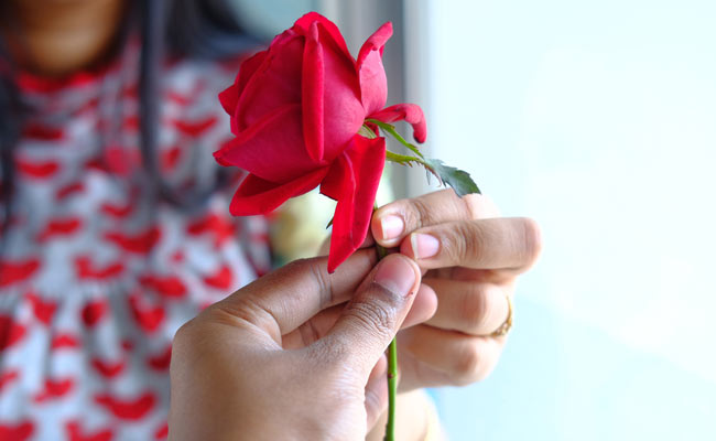 Happy Rose Day 2018: शुरू हुआ वैलेंटाइन वीक, जानिए किस रंग का गुलाब भेजना चाहिए?